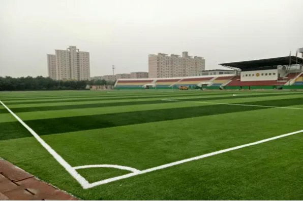 如何让足球场成为城市灵魂？先进草坪与顶棚是关键